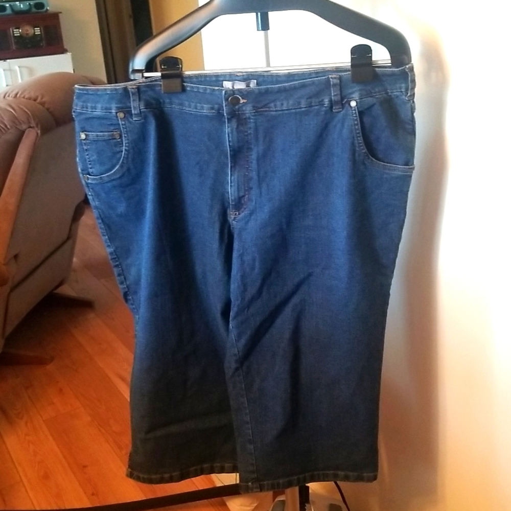 Woman Within Capris Blue 22P